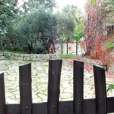 Manoli's House