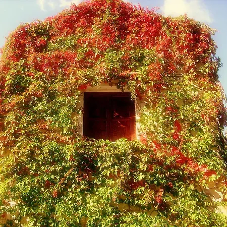 Manoli's House * Douliana